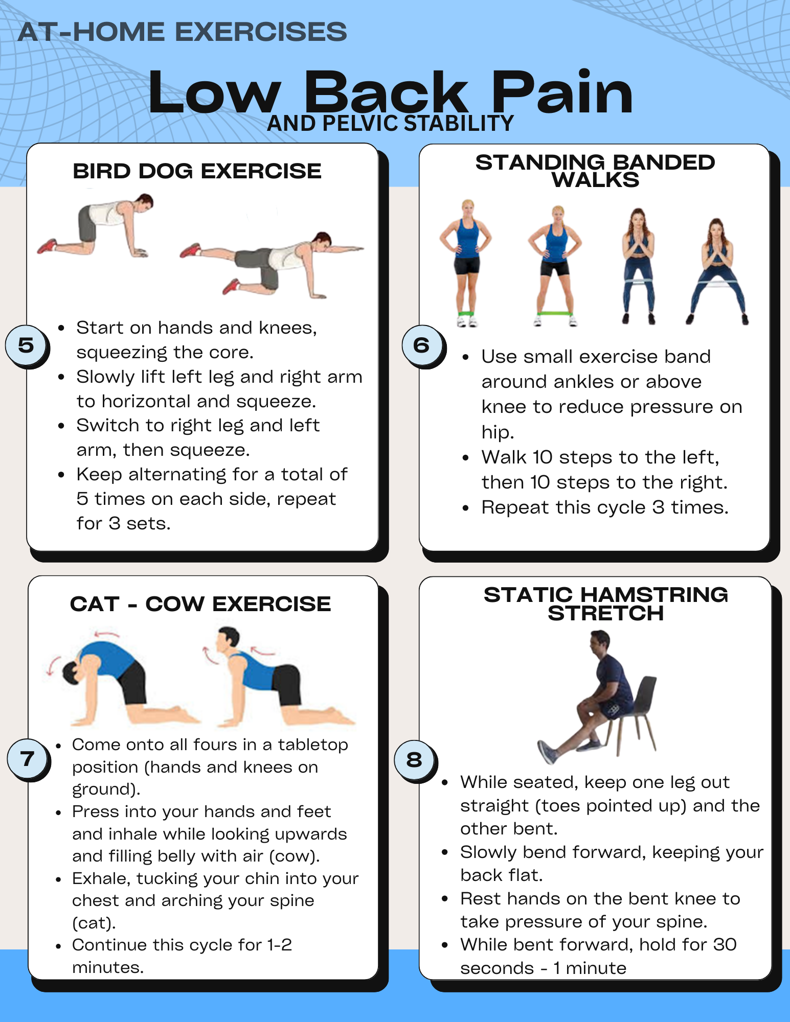 At Home Exercises for Low Back Pain Relief