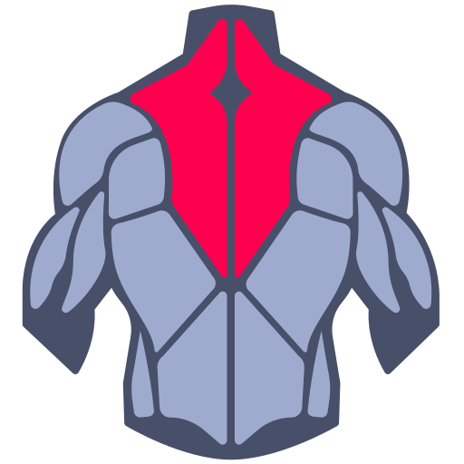 Neck & Upper Back