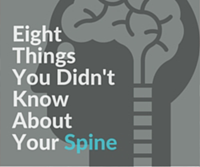 8 things you didnt know about your spine