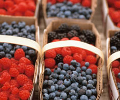 The connection between chiropractic care and nutrition